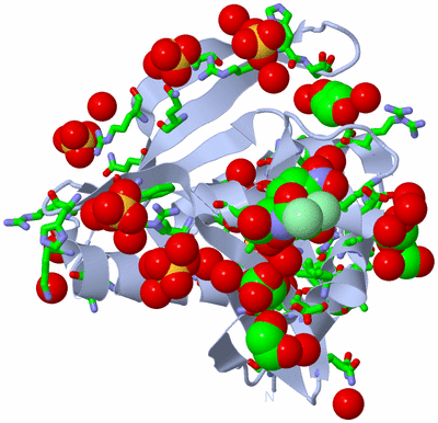 Image Biol. Unit 1 - sites