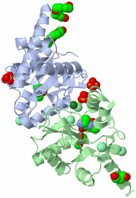 Image Asym./Biol. Unit