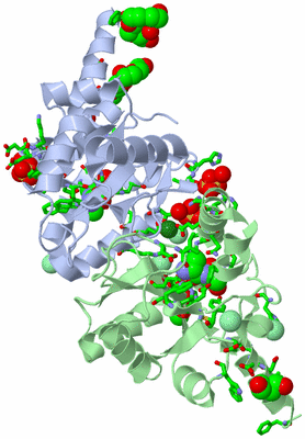 Image Asym./Biol. Unit - sites