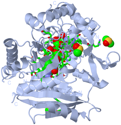 Image Biol. Unit 1 - sites