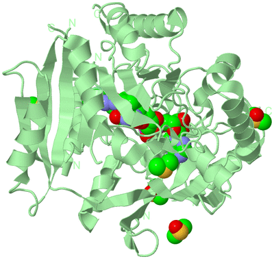 Image Biological Unit 2