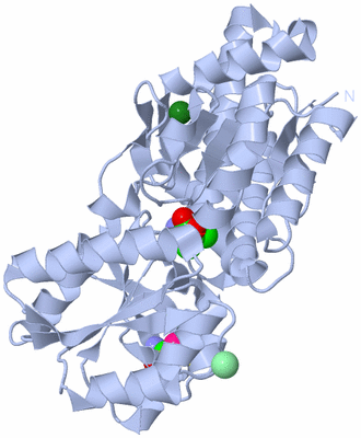 Image Biological Unit 1