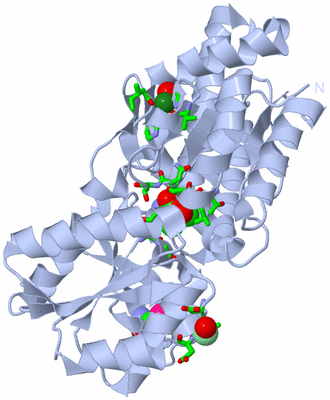 Image Biol. Unit 1 - sites