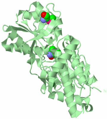 Image Biological Unit 2