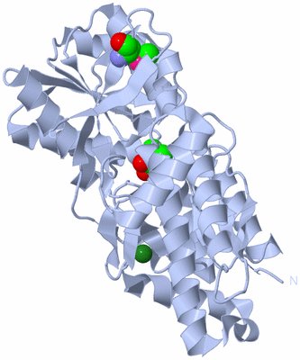 Image Biological Unit 1