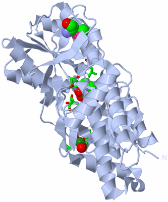 Image Biol. Unit 1 - sites