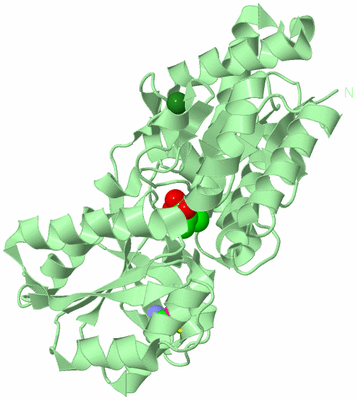 Image Biological Unit 2