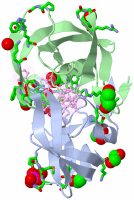 Image Biol. Unit 1 - sites