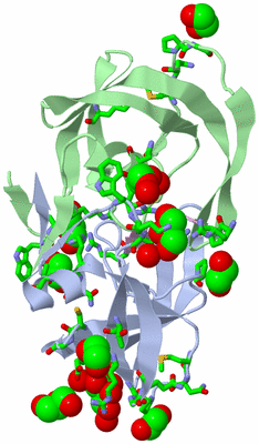 Image Biol. Unit 1 - sites