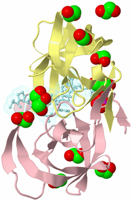 Image Biological Unit 2