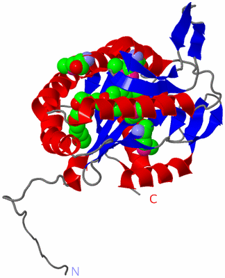 Image Asym./Biol. Unit