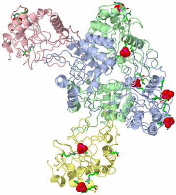 Image Asym./Biol. Unit - sites