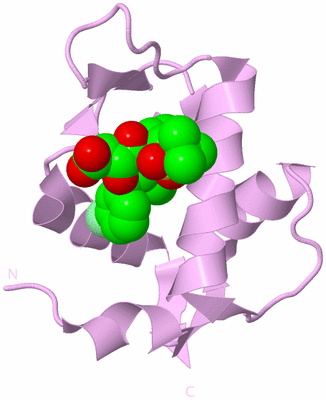 Image Biological Unit 3