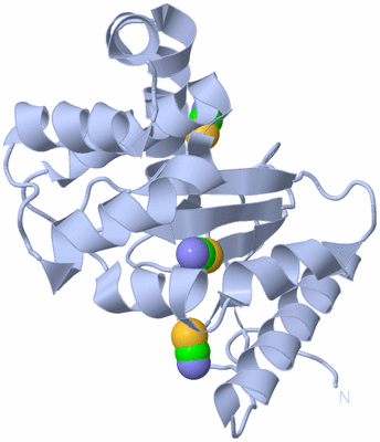 Image Biological Unit 1