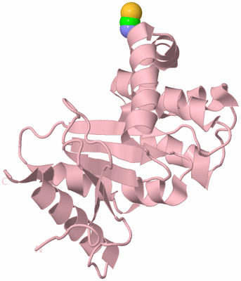 Image Biological Unit 3