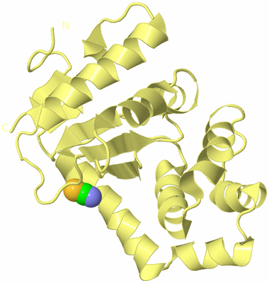 Image Biological Unit 4