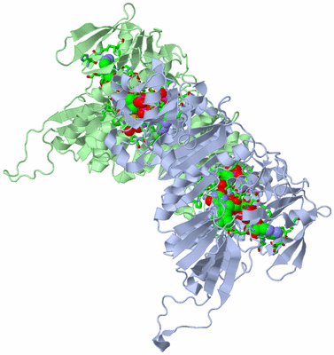 Image Biol. Unit 1 - sites