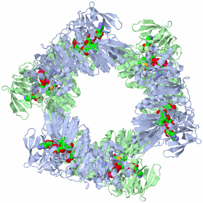 Image Biological Unit 2