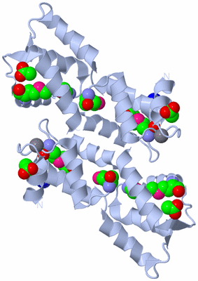 Image Biological Unit 1