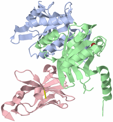 Image Biological Unit 1