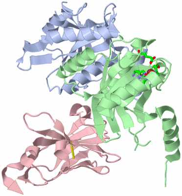 Image Biol. Unit 1 - sites