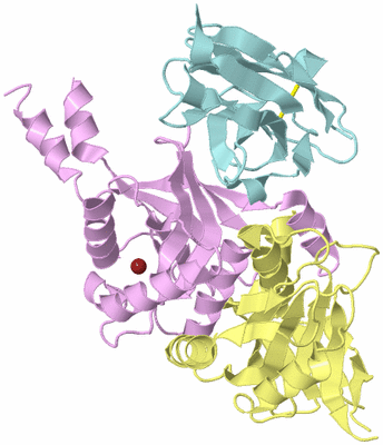 Image Biological Unit 2