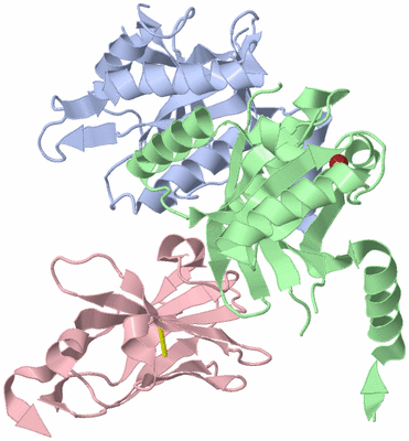 Image Biological Unit 1