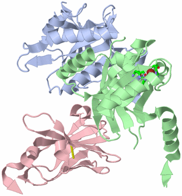 Image Biol. Unit 1 - sites