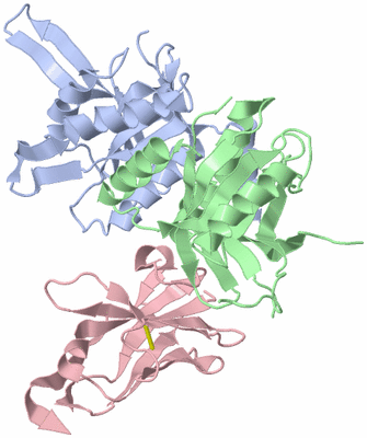 Image Biological Unit 1