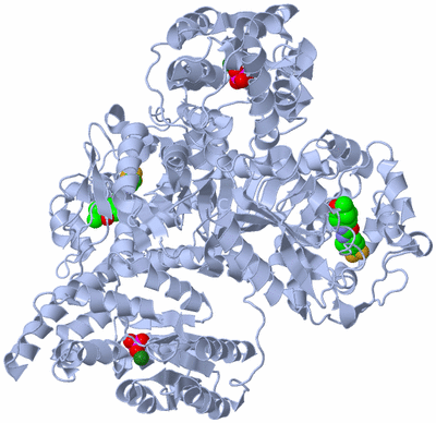 Image Biological Unit 1