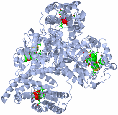 Image Biol. Unit 1 - sites