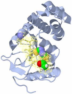 Image Biological Unit 1