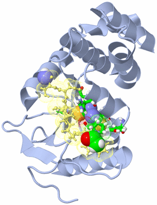 Image Biol. Unit 1 - sites