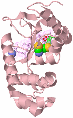 Image Biological Unit 3