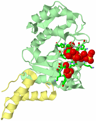 Image Biol. Unit 1 - sites