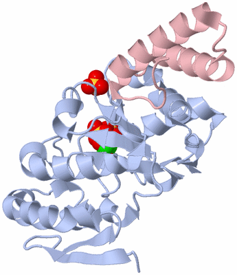 Image Biological Unit 2