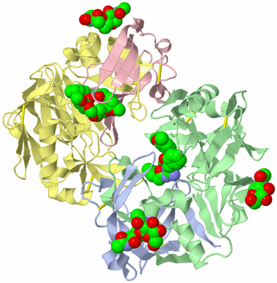 Image Biological Unit 1