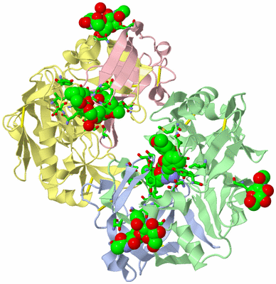 Image Biol. Unit 1 - sites