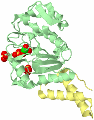 Image Biological Unit 1