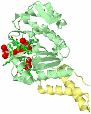 Image Biol. Unit 1 - sites