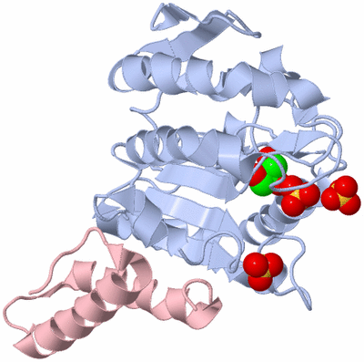 Image Biological Unit 2