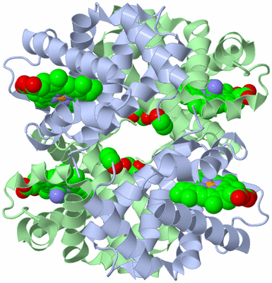 Image Biological Unit 1