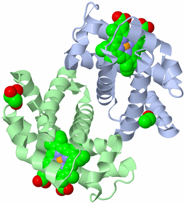 Image Biological Unit 2