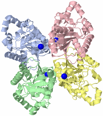 Image Asym./Biol. Unit