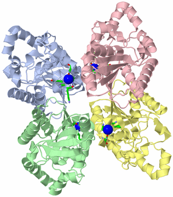 Image Asym./Biol. Unit - sites