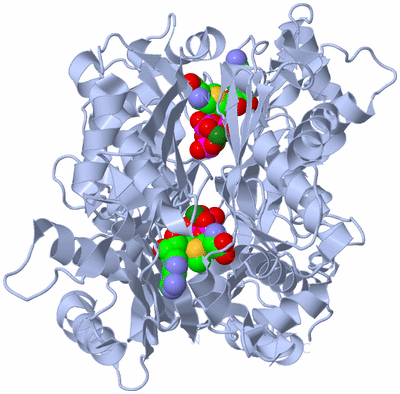 Image Biological Unit 1