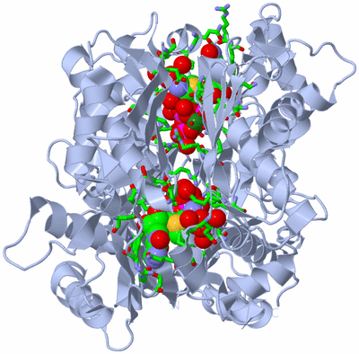 Image Biol. Unit 1 - sites