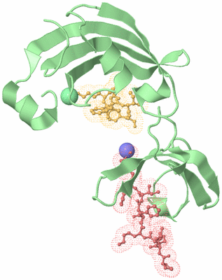 Image Biological Unit 1