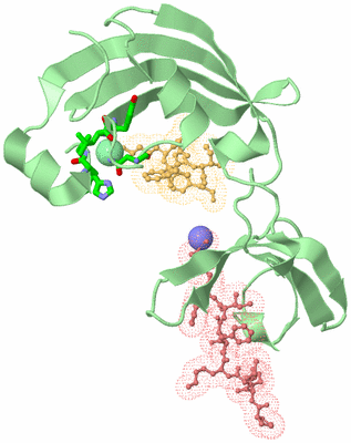 Image Biol. Unit 1 - sites