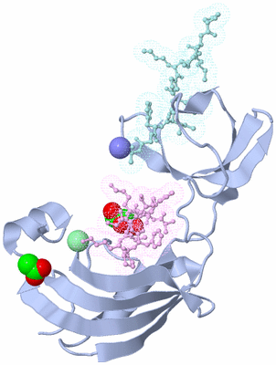 Image Biological Unit 2